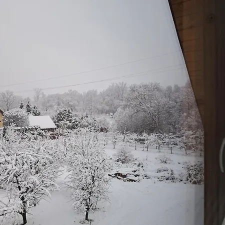 W Zabrzezy *