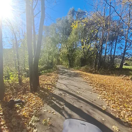 W Zabrzezy Apartament *