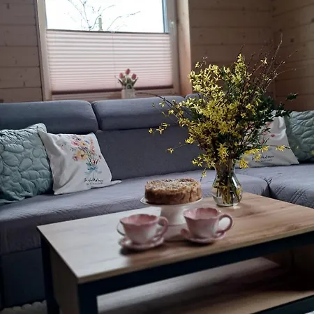 Apartment W Zabrzezy *