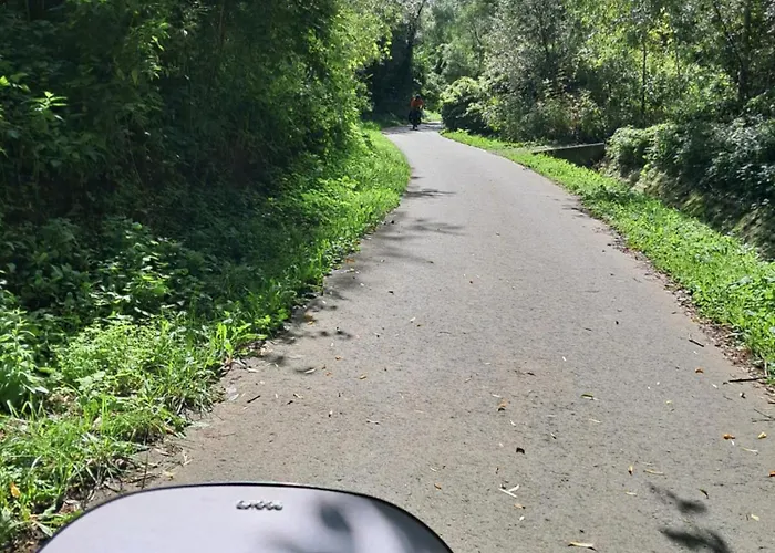 W Zabrzezy Apartament *